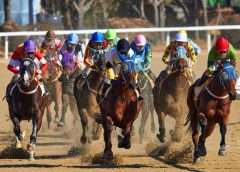 Major differences between horse racing betting and online casinos