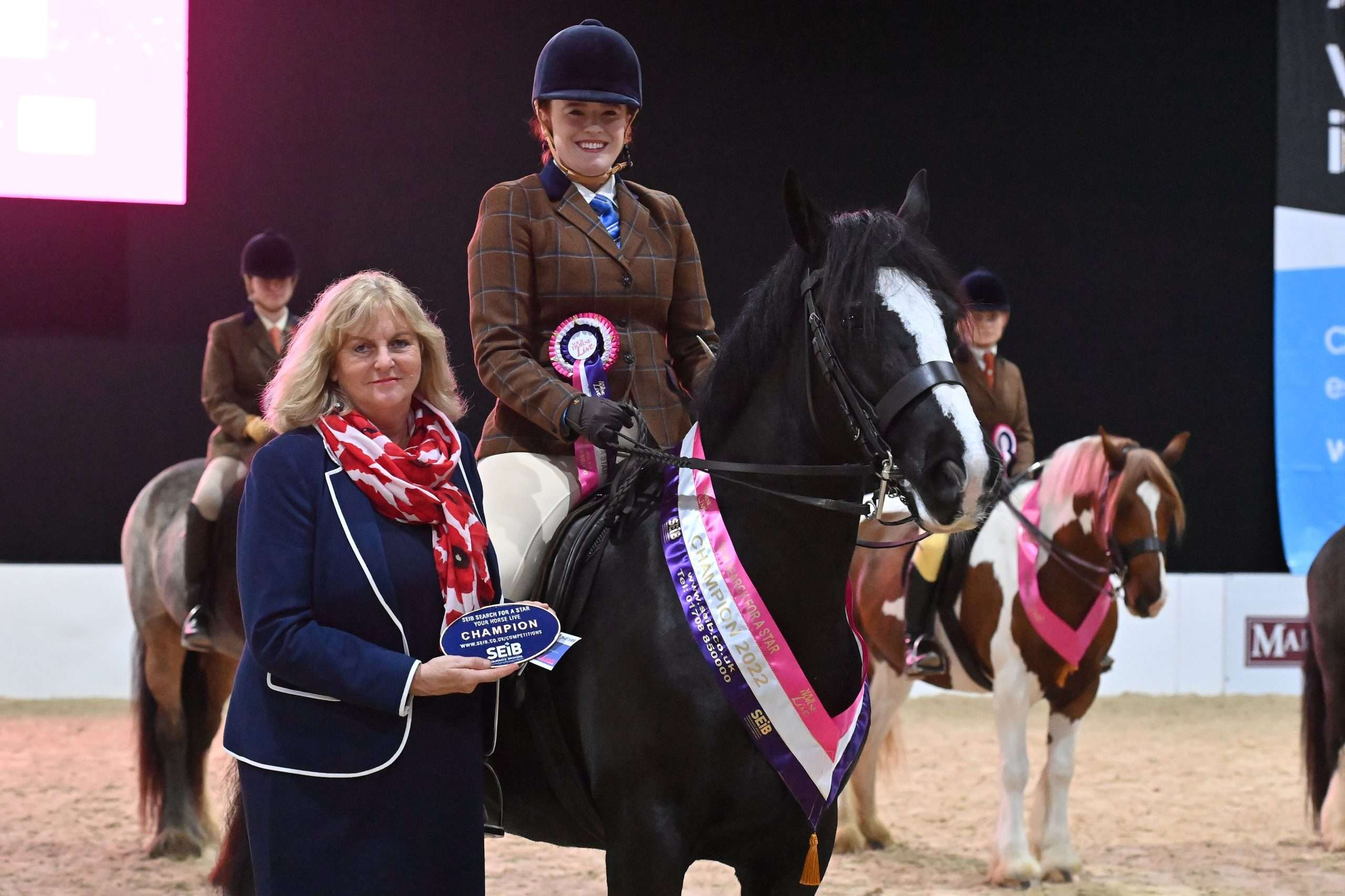 Maia Ellis and her own part-bred Welsh cross traditional cob black mare, Furlong Socks won the part-bred traditional Search for a Star Your Horse Live championship.
