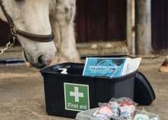 First Aid Kit for the horse