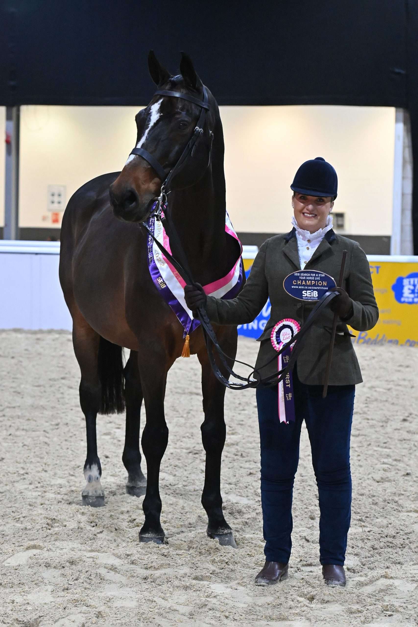 in-hand veteran which went to Lucy Ashworth and her own twenty-four-year-old bay gelding, Randall IV