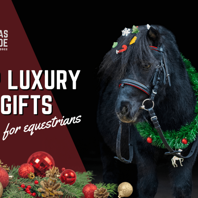 Top luxury gifts for equestrians