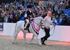 Lead Rein Section A pony takes the SEIB Search for a Star Title