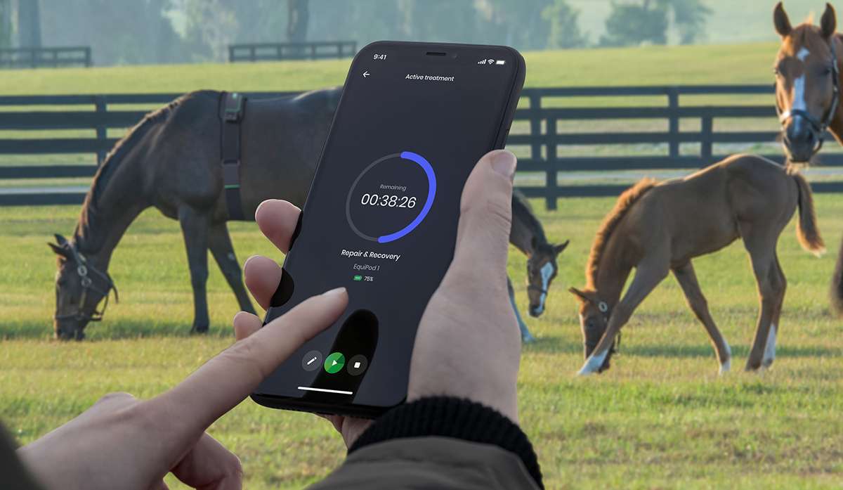The EquiPod app gives you control of treatment type and length to get the best results for your horse.