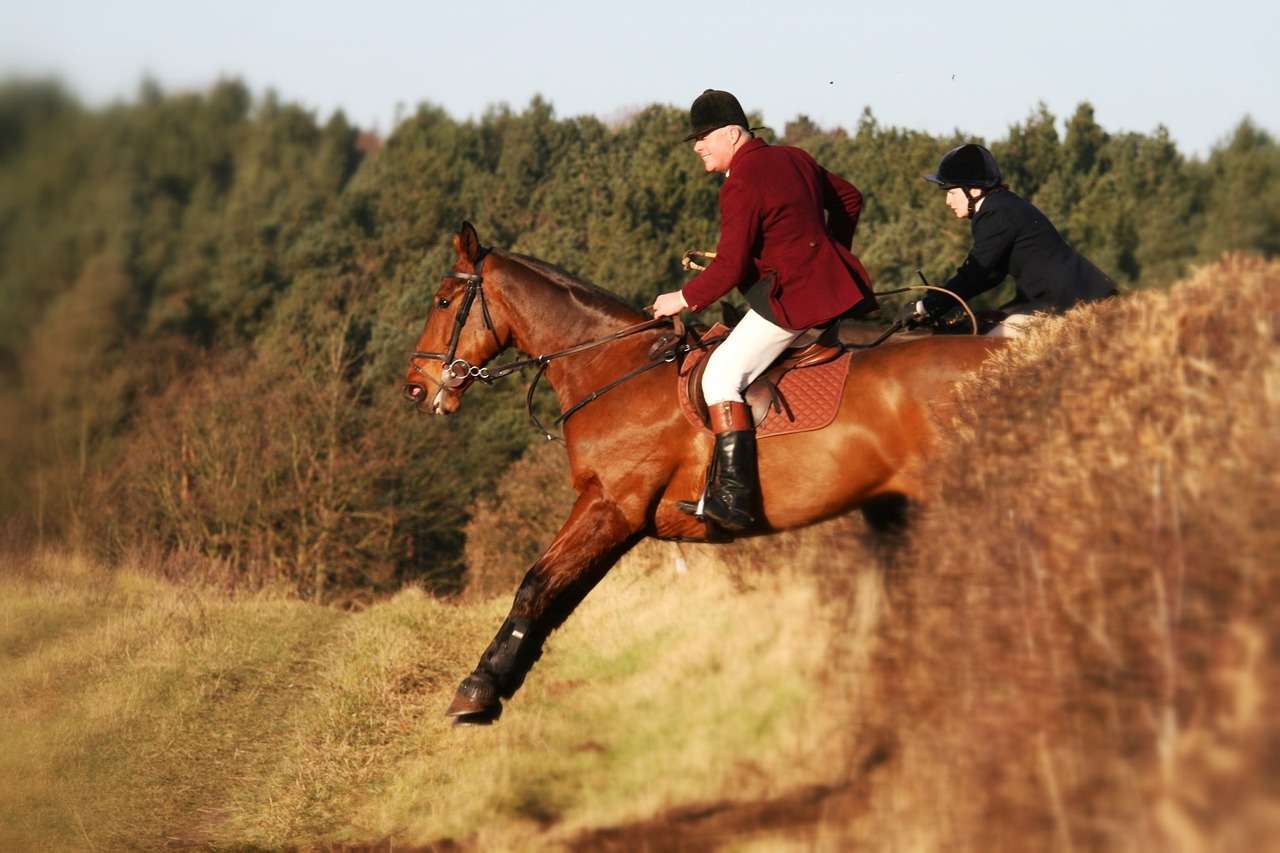 Training Racehorses To Be Hunters