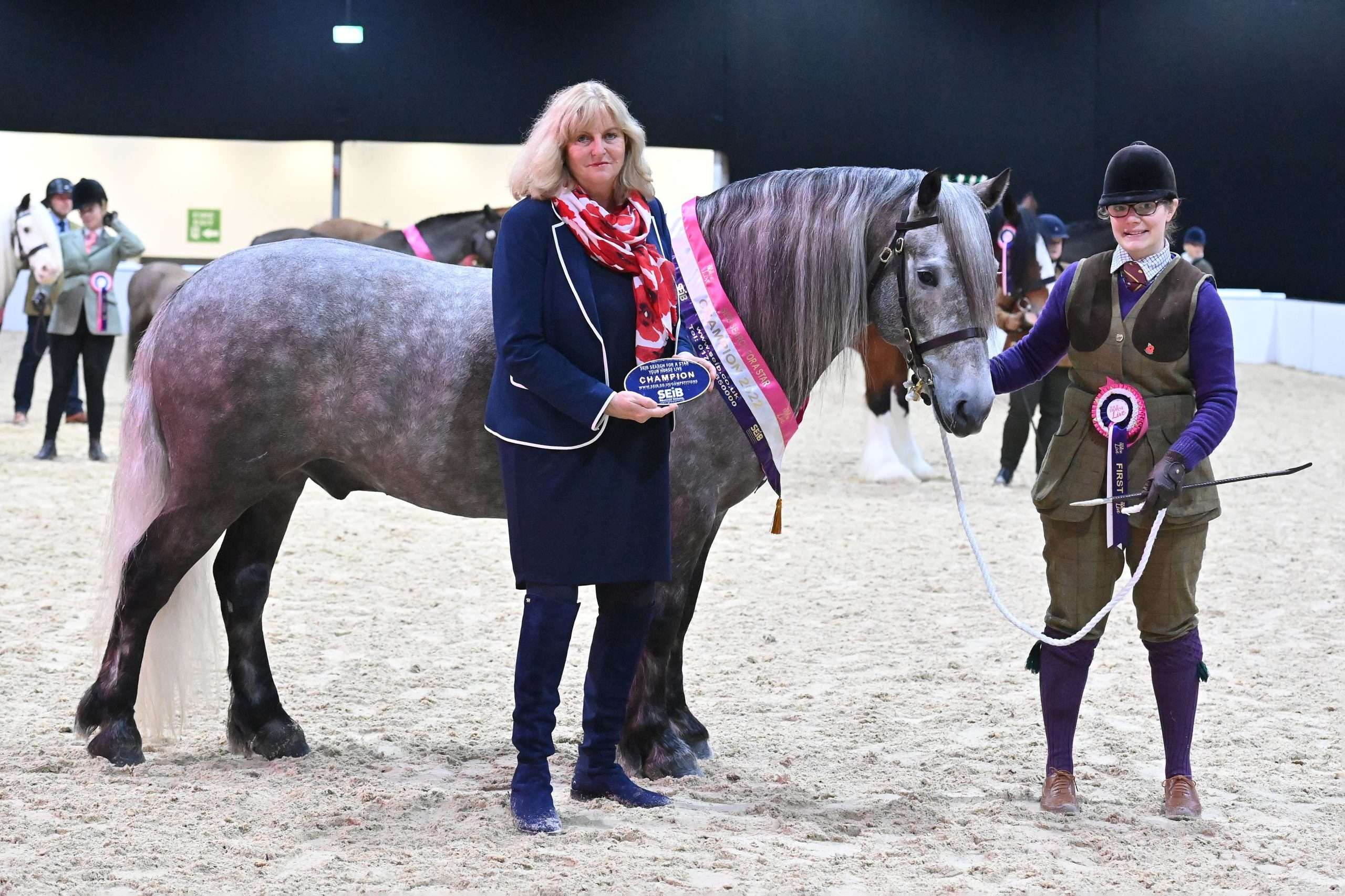 In-hand mountain and moorland winner, Lachlann of Croila Croft, had travelled all the way down from the Scottish Highlands with his owner and handler, Judith Hogg.