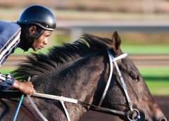 horse racing with jockey, what can we expect from the future of horse racing