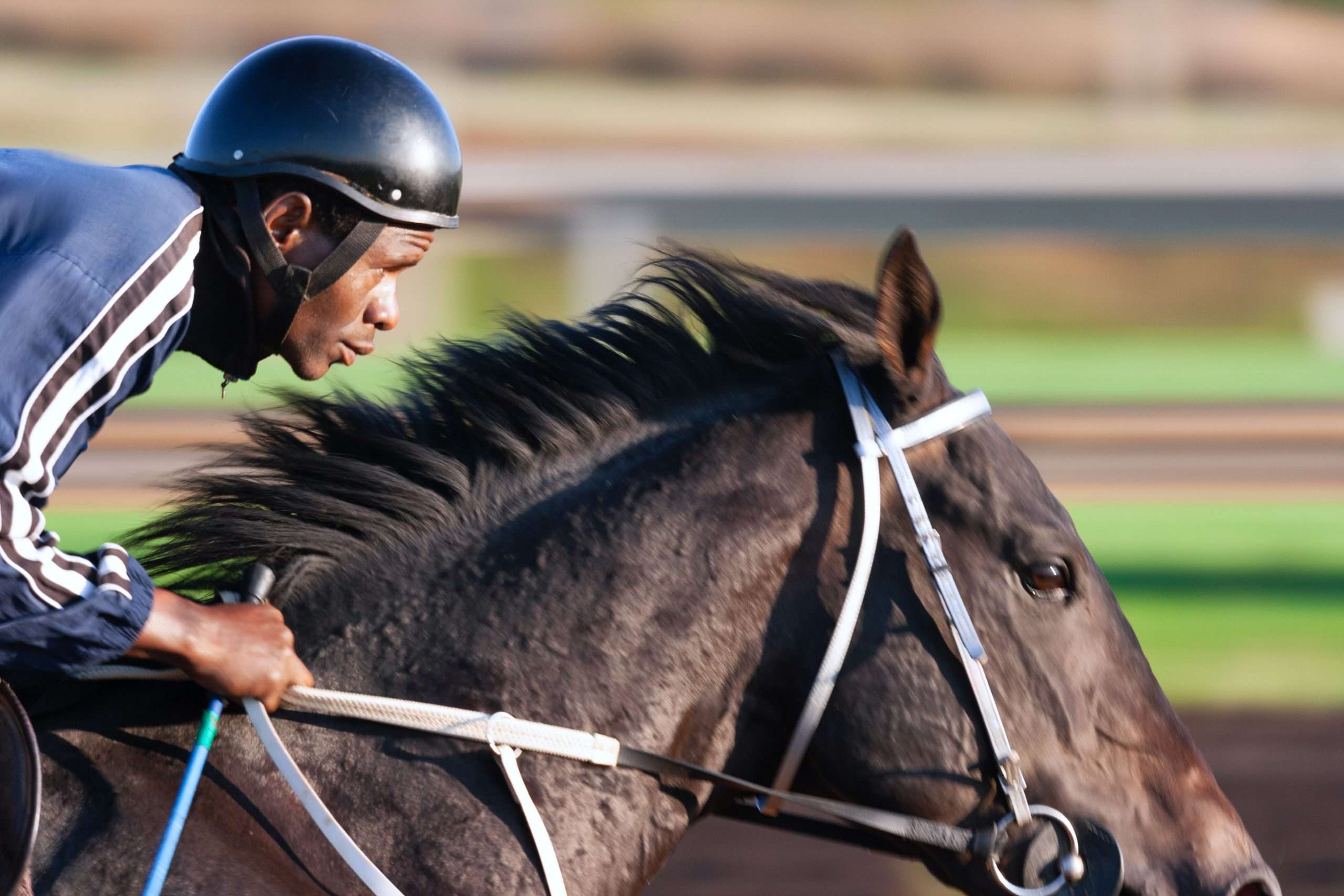 horse racing with jockey, what can we expect from the future of horse racing
