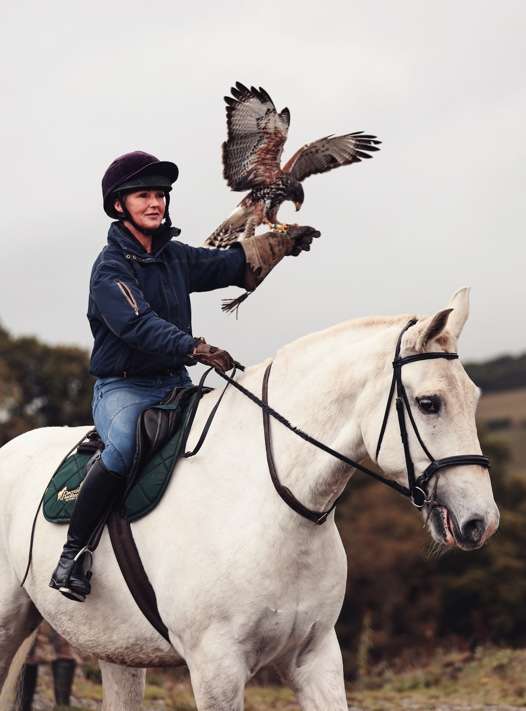 Horseback Falconry available to book through Cavago