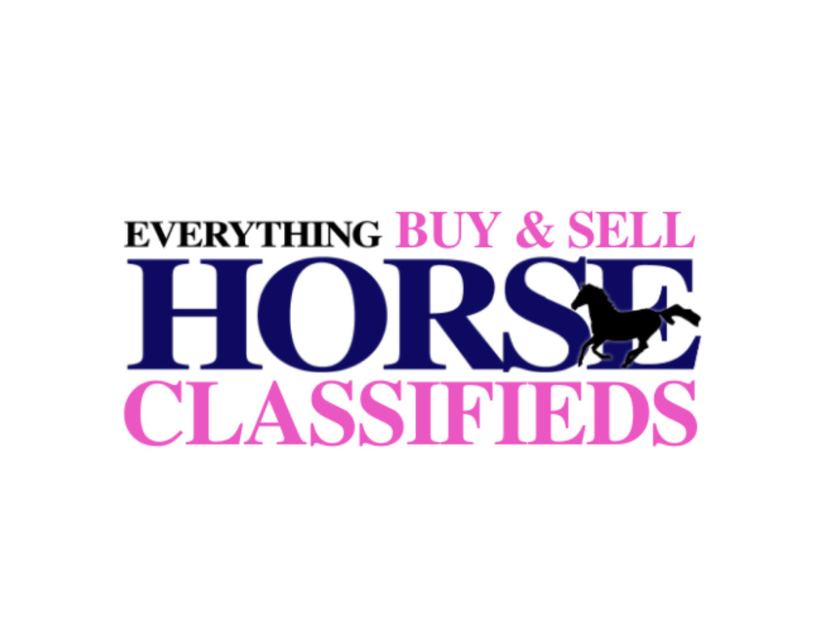 Horses for sale near me - Equestrian classifieds with Everything Horse