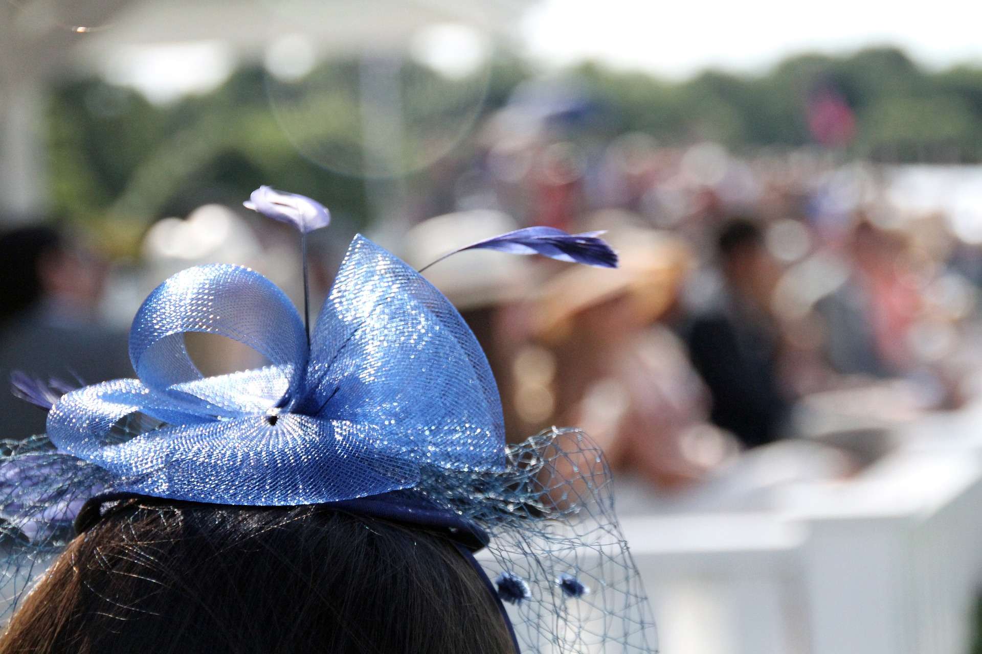 How to enjoy a day at the races
