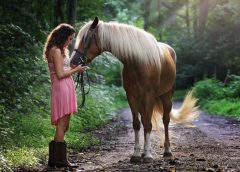 Mental Health Benefits of Horses