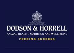 Dodson & Horrell logo with dark blue background