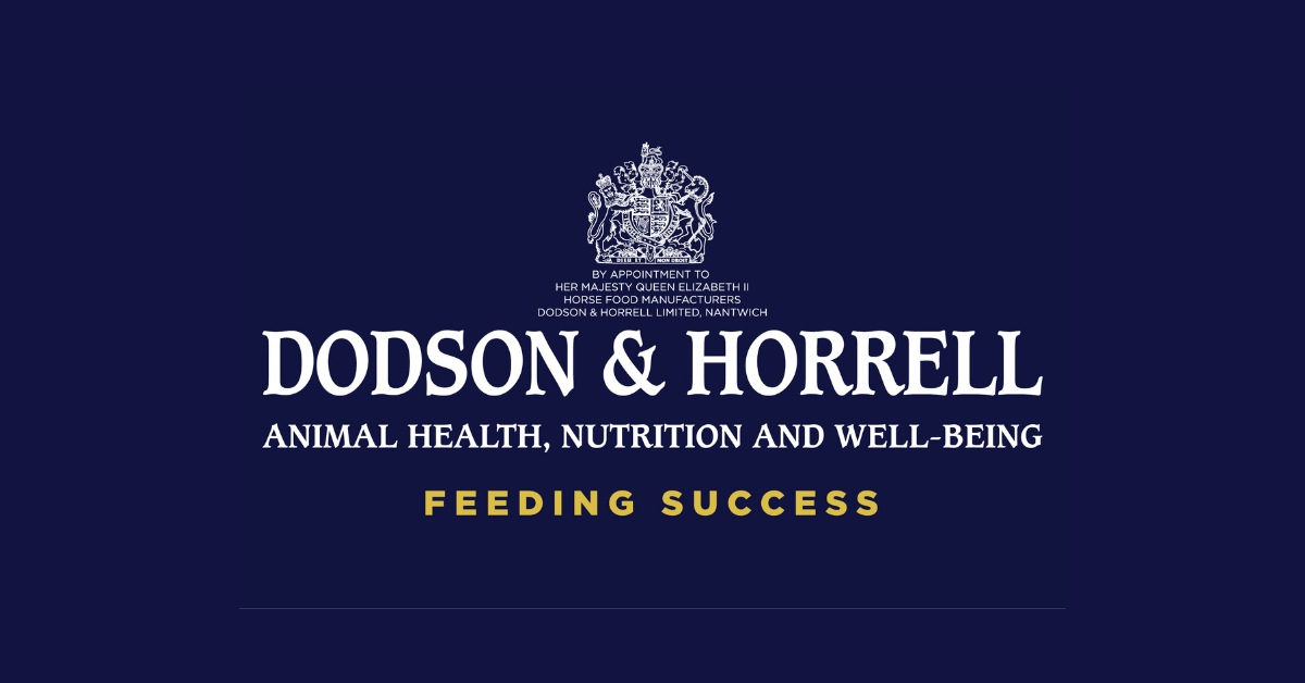 Dodson & Horrell logo with dark blue background