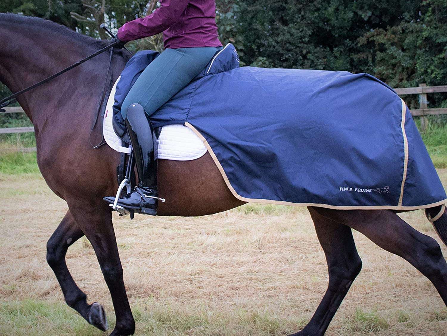 Finer Equine Ride On Exercise Sheet