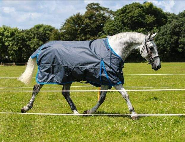Fence Buster and Guardian from Genius rug range