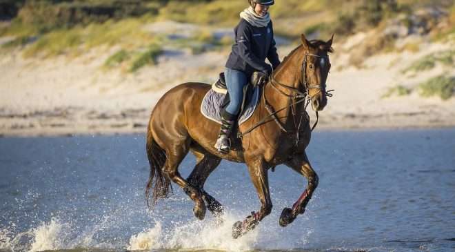 Benefits of horse riding horse and rider at the beach galloping in the water