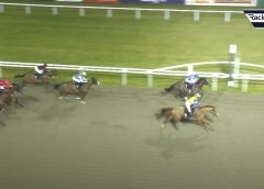Olivia Haines hangs on to the saddle to take the win at Chelmsford on horse Dalby Forest