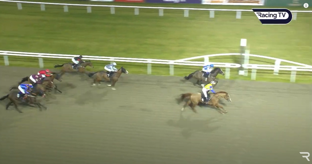 Olivia Haines hangs on to the saddle to take the win at Chelmsford on horse Dalby Forest