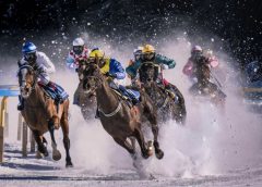 Middle East Horses images of horses racing
