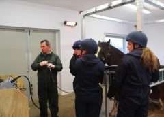 Bransby Horses warn of strangles outbreak image of veterinarian scoping a horse with students