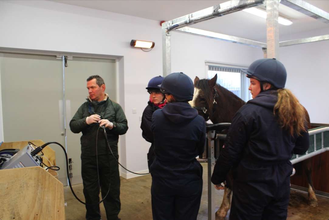 Bransby Horses warn of strangles outbreak image of veterinarian scoping a horse with students