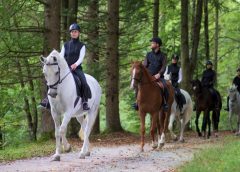 10 unmissable horse riding destinations image of riders hacking through woodland enjoying the scenery