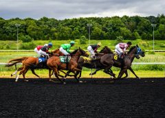 8 Different Types of Horse Races 