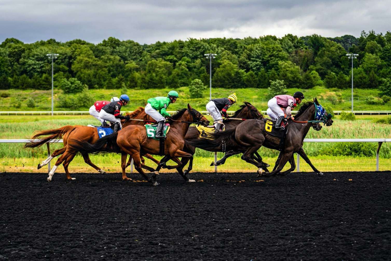 8 Different Types of Horse Races - horses racing on a dark surface