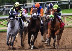 Could We See A Japanese Contender In The Kentucky Derby 2023?