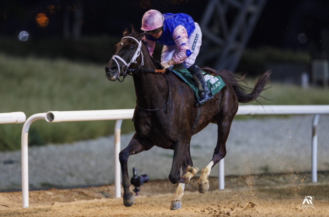Al Mahbooba, who was previously owned by James Owen, and Sam Hitchcott win the First Leg of the Al Ain Marathon Series Photo supplied by ERA