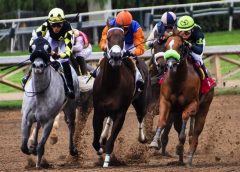 Image of horses racing to represent Japan Horse Racing