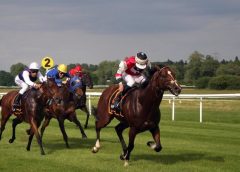 Comparing Middle Eastern and British Horse Racing Image of horses racing