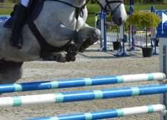 Mediterranean Equestrian Tour Cancelled due to outbreak of EHV-1 virus