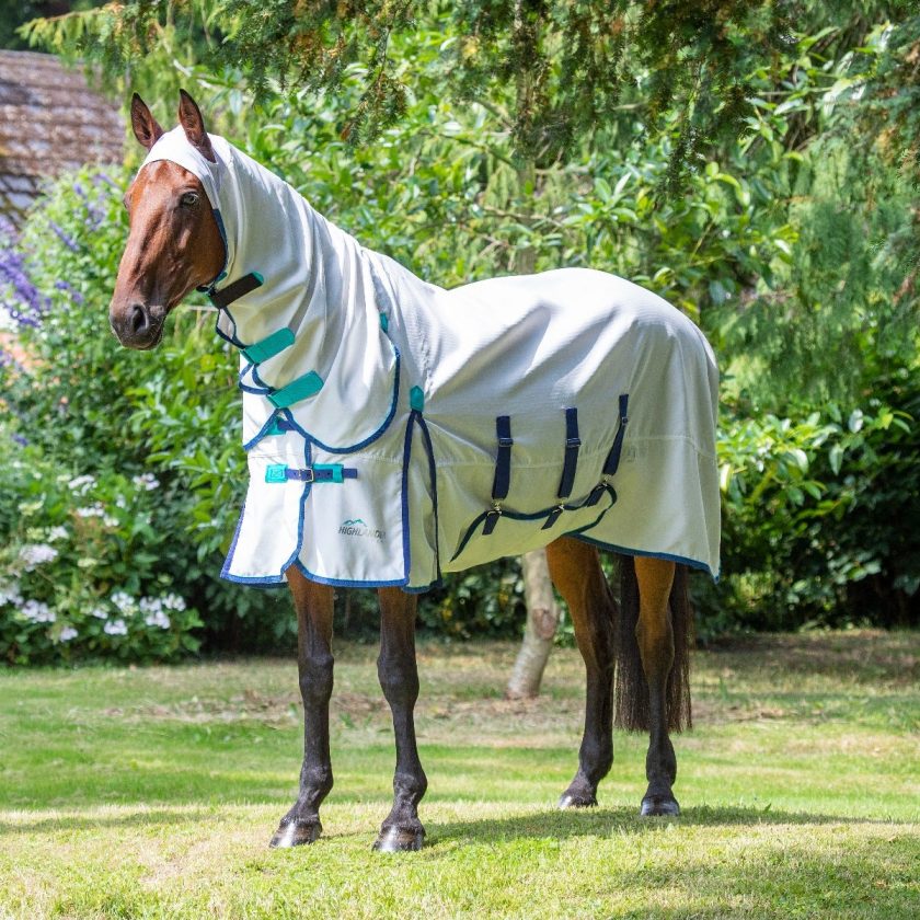 Sweet Itch products for horses image of a horse in a sweet itch rug
