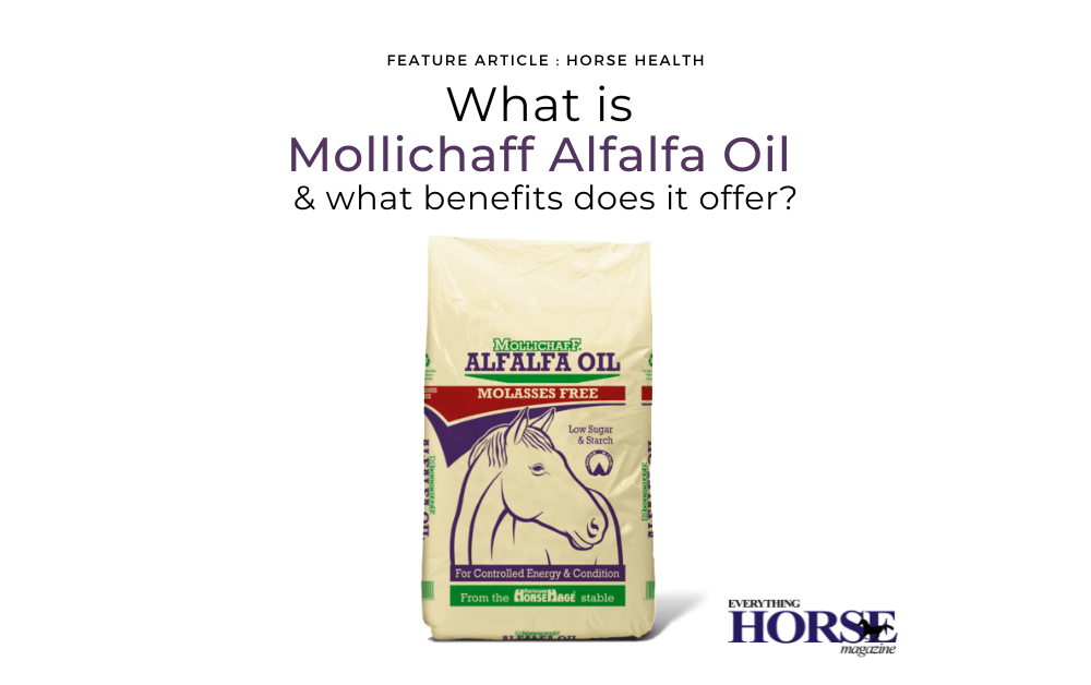 What is Mollichaff Alfalfa Oil & what benefits does it offer?