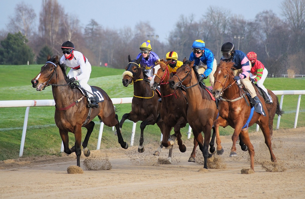 Image a group of horses racing on sand. Which is the richest horse race - the Dubai World Cup?