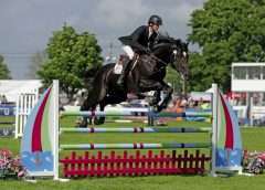 South of England Show showjumping image