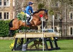 Eventing Spring Carnival - horse and rider jumping over cross country fence