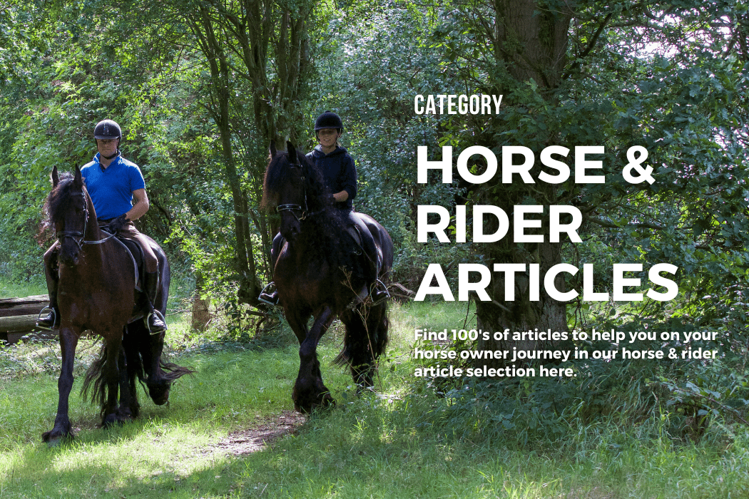 Horse and rider articles