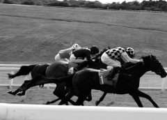 From support act to thrilling highlight: A short history of the Aintree Bowl image reflecting horse racing in black and white. Photo by Pardeep Bhakar on Unsplash