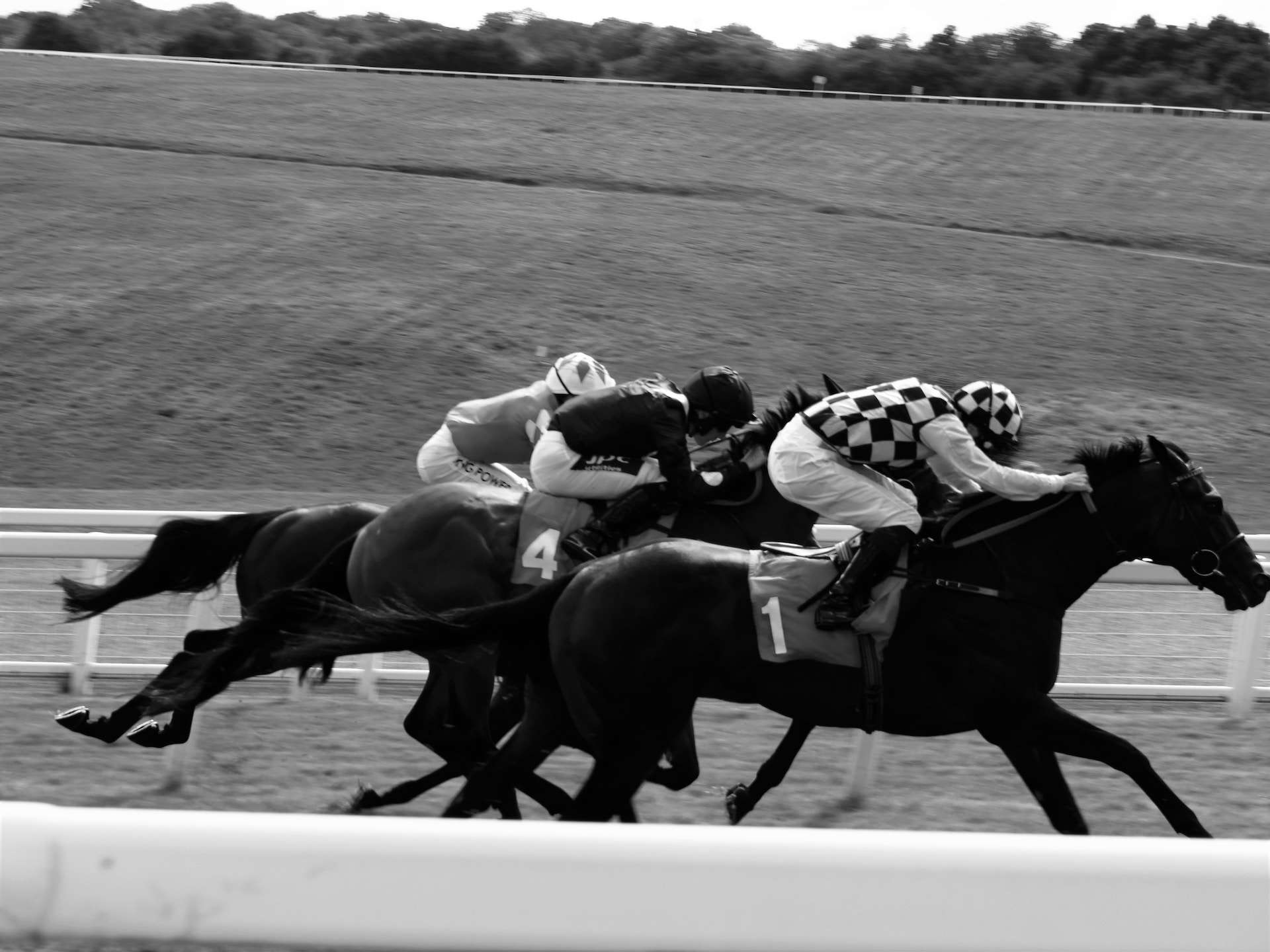 From support act to thrilling highlight: A short history of the Aintree Bowl image reflecting horse racing in black and white. Photo by Pardeep Bhakar on Unsplash