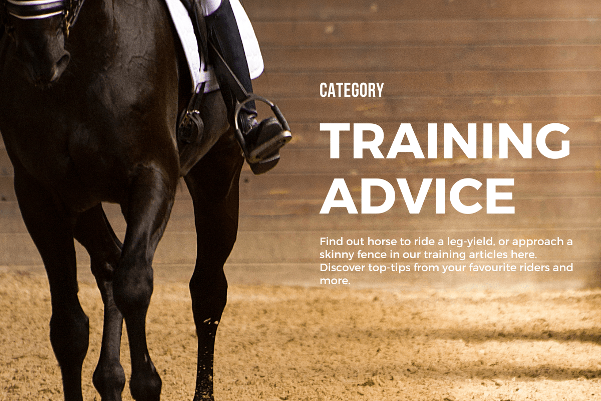 training advice for horse and rider 
