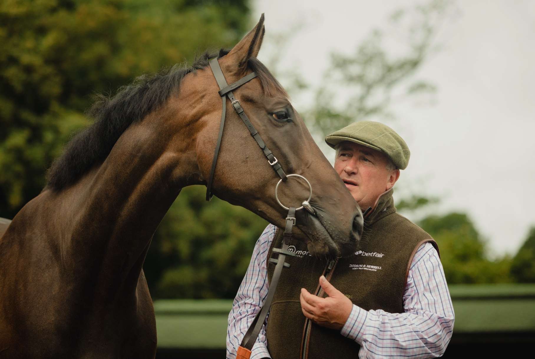 Image of Paul Nicholls with a bay horse