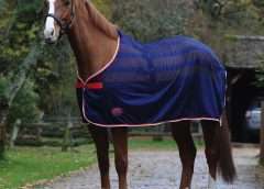 3 Top Coolers Rugs for Horses