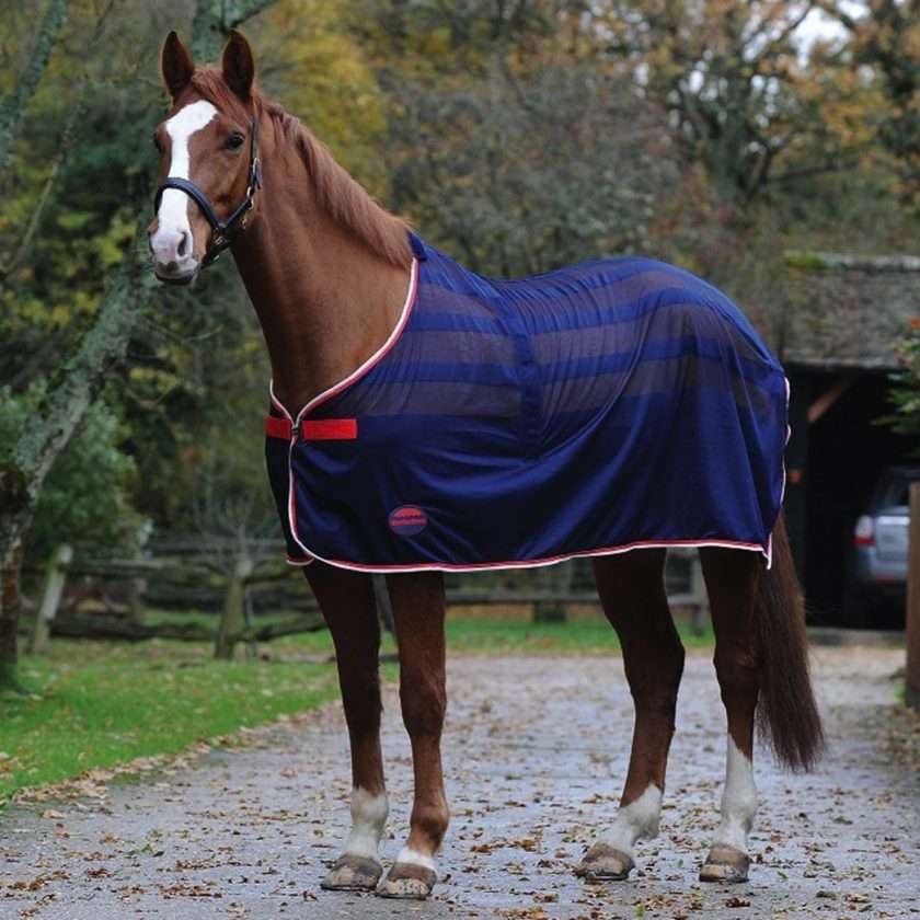 Cooler rugs for horses