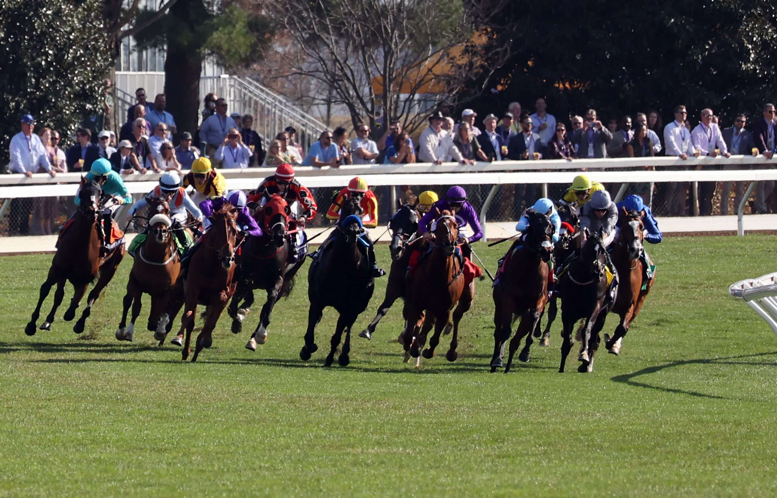 Horse Racing Tips