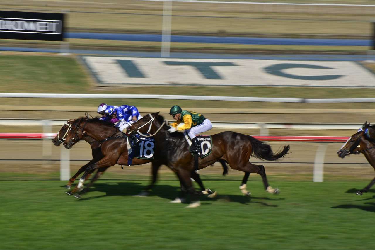 uk racecourses