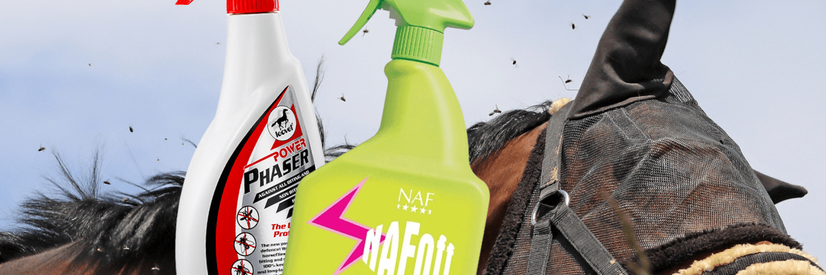 Best Fly Sprays for Horses