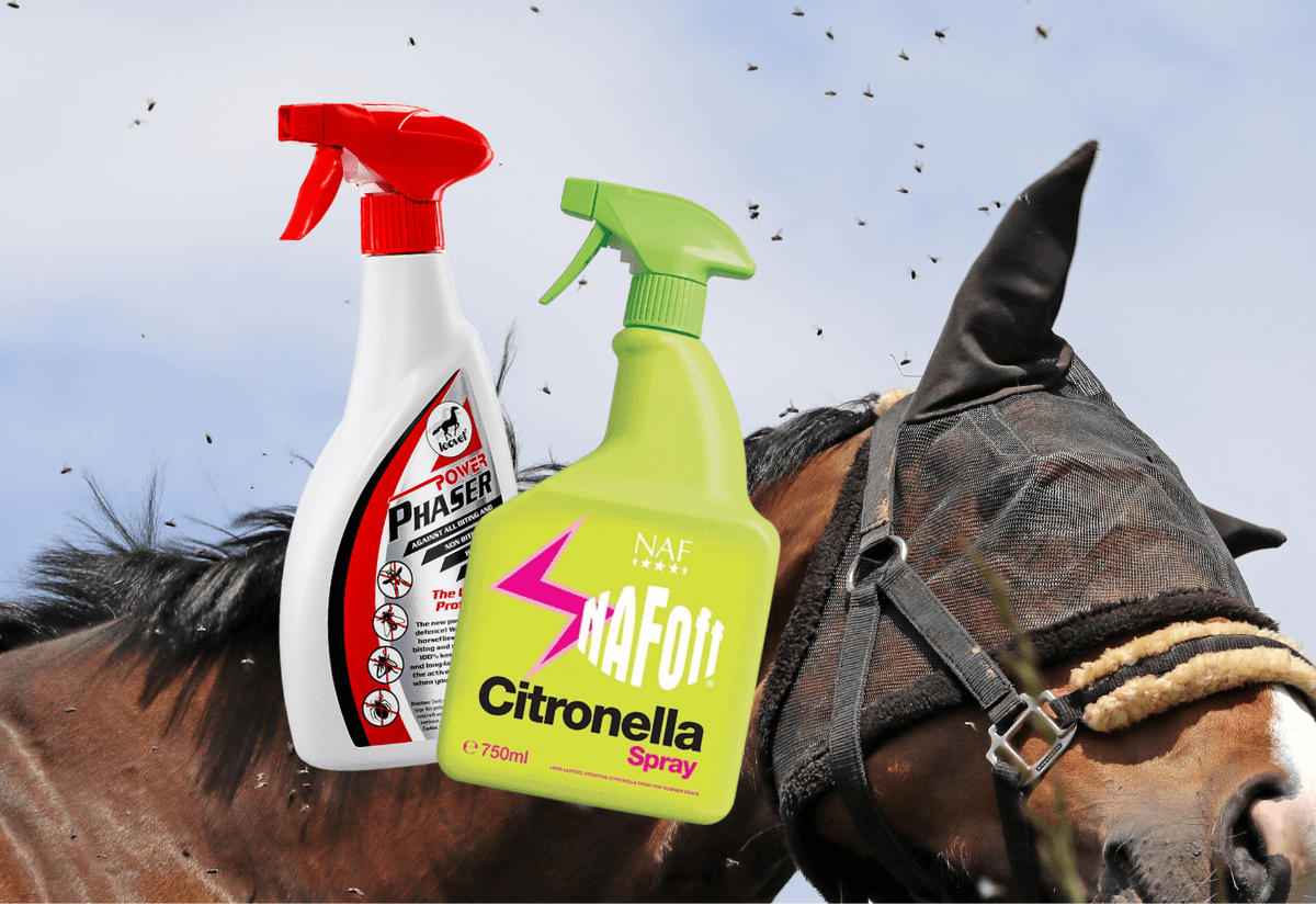 Best Fly Sprays for Horses
