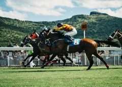 UK horse racing entertainment - horses racing on grass